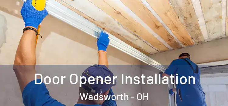  Door Opener Installation Wadsworth - OH