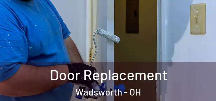  Door Replacement Wadsworth - OH