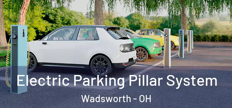  Electric Parking Pillar System Wadsworth - OH