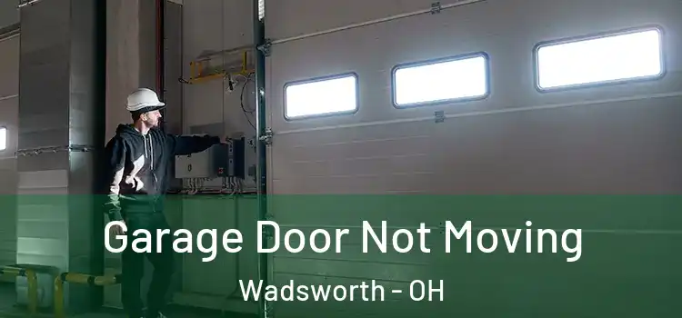  Garage Door Not Moving Wadsworth - OH