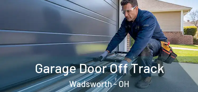  Garage Door Off Track Wadsworth - OH