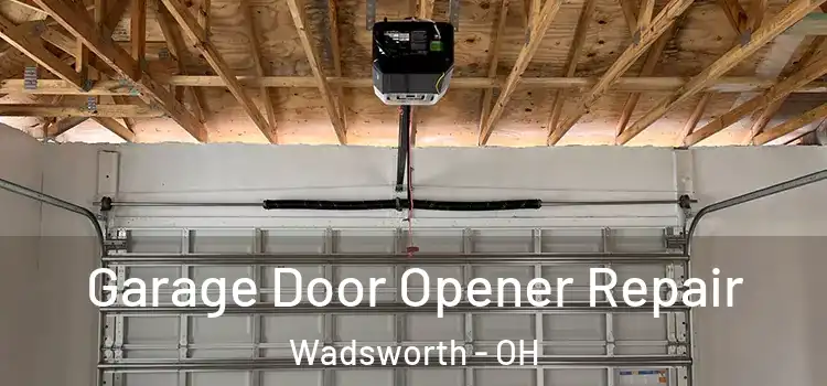  Garage Door Opener Repair Wadsworth - OH