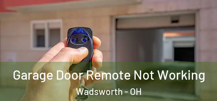  Garage Door Remote Not Working Wadsworth - OH
