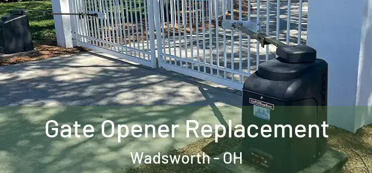  Gate Opener Replacement Wadsworth - OH