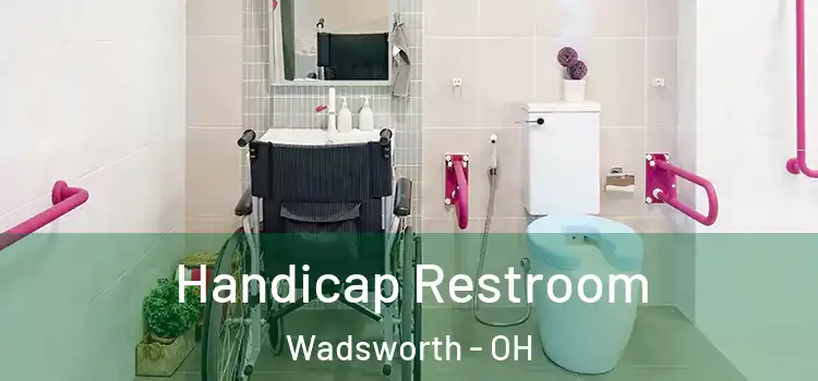  Handicap Restroom Wadsworth - OH
