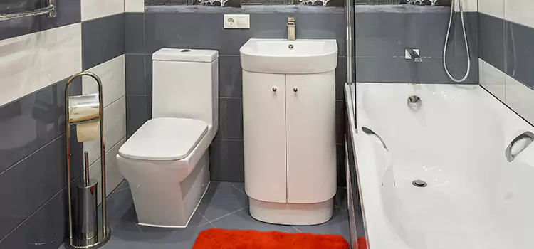 Hansgrohe Shaving Mirror Wadsworth