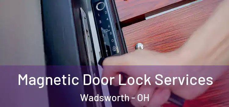  Magnetic Door Lock Services Wadsworth - OH