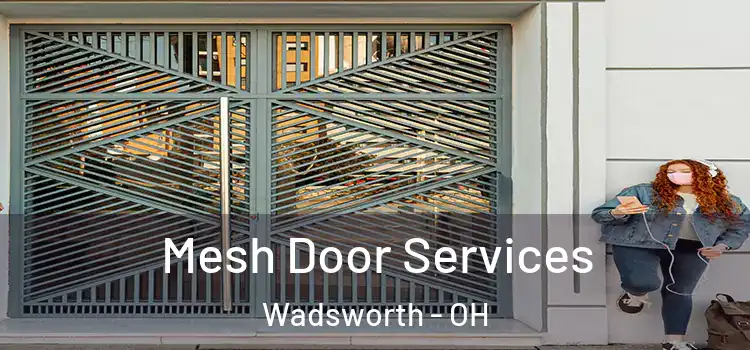 Mesh Door Services Wadsworth - OH