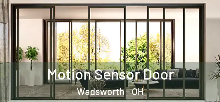  Motion Sensor Door Wadsworth - OH