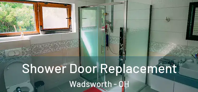  Shower Door Replacement Wadsworth - OH