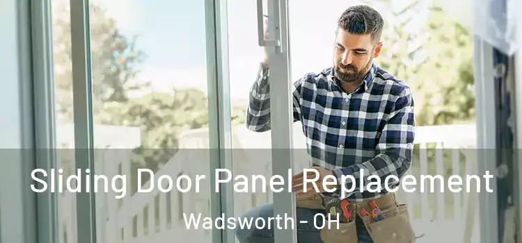  Sliding Door Panel Replacement Wadsworth - OH