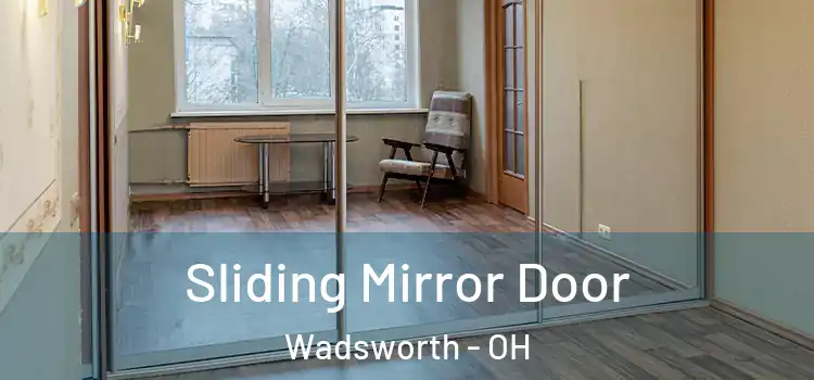  Sliding Mirror Door Wadsworth - OH